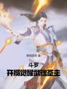 斗罗：开局觉醒武魂圣主